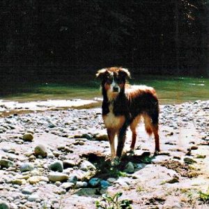 Gründerin 7